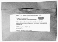 Image Associated With the Occurence